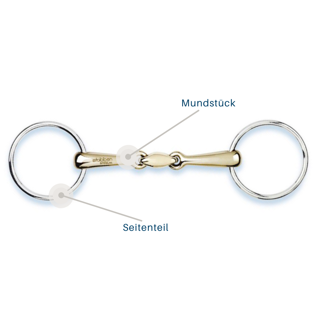 Mundstück Mundstück